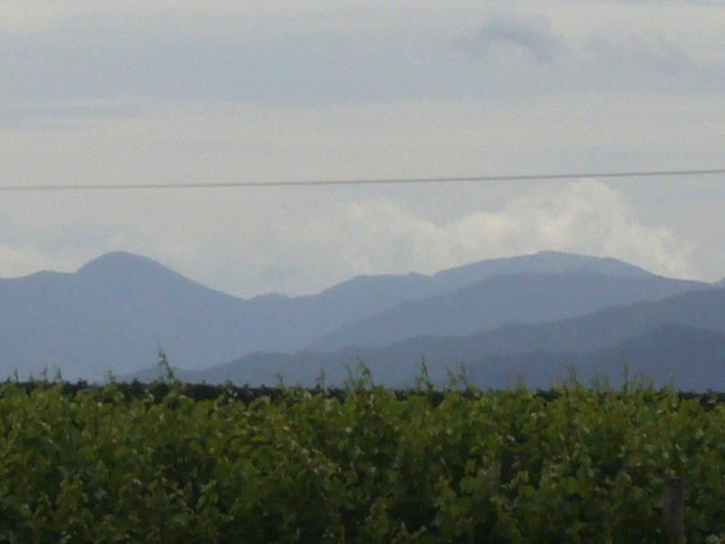 Outside Cloudy bay winery